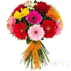 Happy Moment Gerberas Bouquet (Regular)